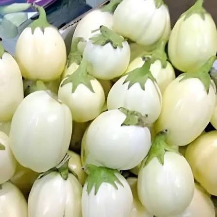 Nyanya Chungu - Vegetables fresh GENGE ONLINE