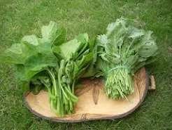 Figiri - Vegetables fresh GENGE ONLINE