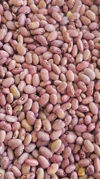 Maharage Mabichi - Vegetables fresh GENGE ONLINE