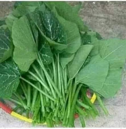 Majani ya Boga - Vegetables fresh GENGE ONLINE