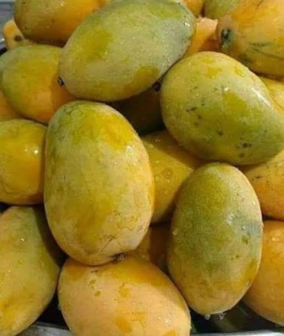 Maembe - Fruits fresh GENGE ONLINE